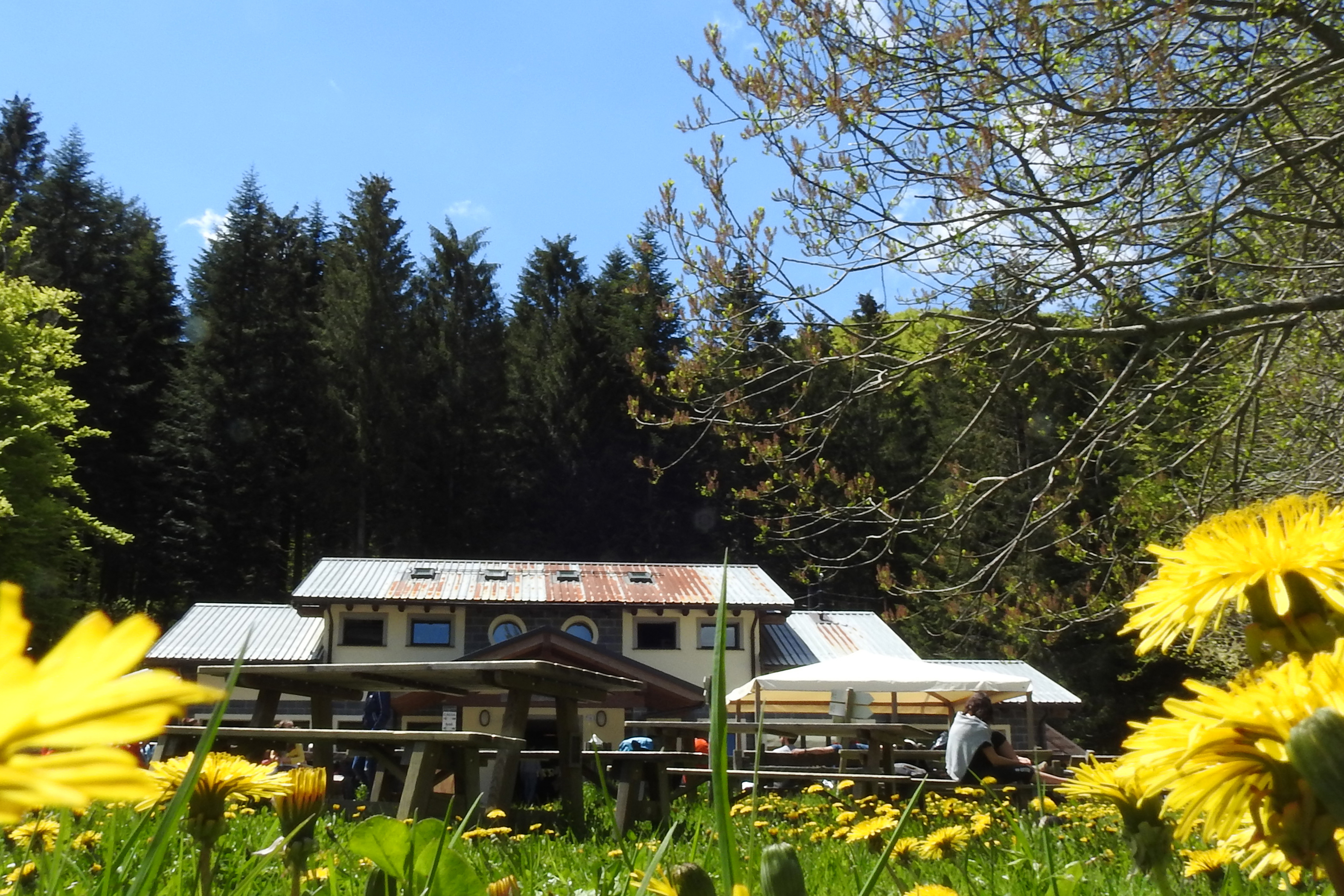 CAMERE NE LA CASA NEL BOSCO